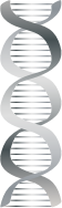 Silver DNA icon