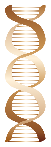 Bronze DNA icon