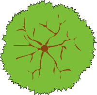 tree-05