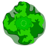 tree-03