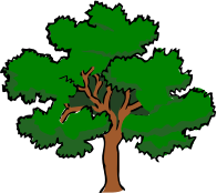 Oak Tree redux