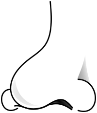 nose 2