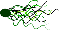 Flowing