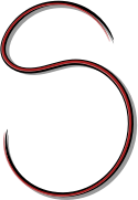 Character S