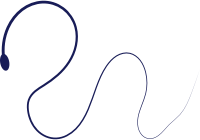 Worm