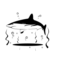 Shark vector