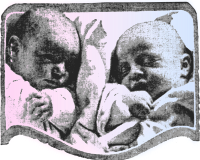 Cute Babies - Pink & Blue
