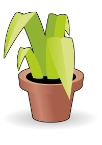 Flower in a pot