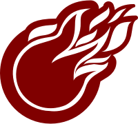 Fire ball silhouette