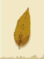 Fall Leaves 1