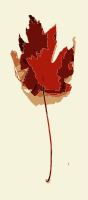 Fall leaves with color 1