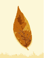 Fall leaves with color 2