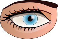 eye