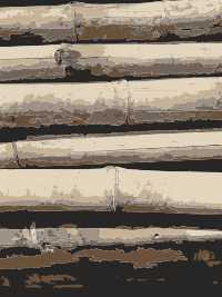 Bamboo Texture