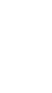 2D Chess set - Pawn 2