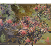 thistle