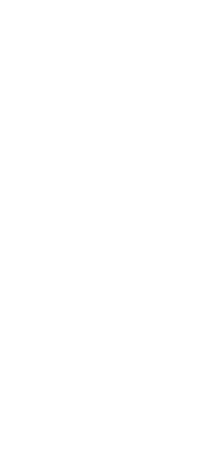 2D Chess set - Bishop 2