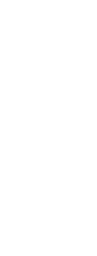 2D Chess set - King 2
