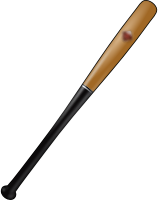 Baseball Bat