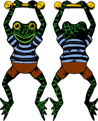 Acrobat Frog