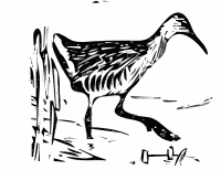 kingrail 1