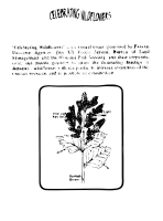 Ocean Spray Coloring Guide