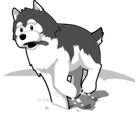 Husky Coloring Page