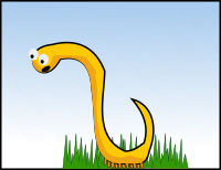 Yellow worm
