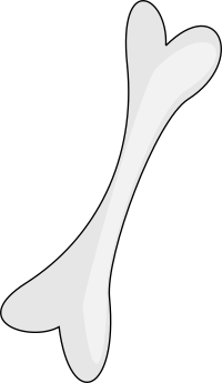 Bone
