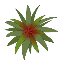 bromelia-03