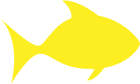 A Yellow Fish