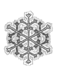 Snowflake