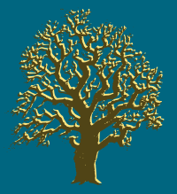 Oak Tree - 3 Colours