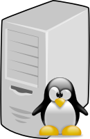 Linux Server