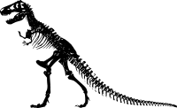 T-Rex Skeleton