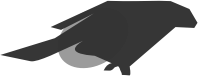 blackbird2