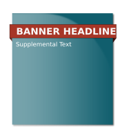 Website Banner