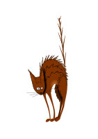 Scared cat