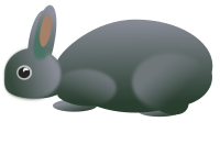 Hase-9569