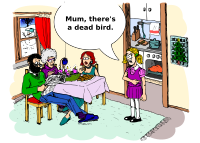 dead bird