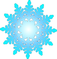 snow flake 1