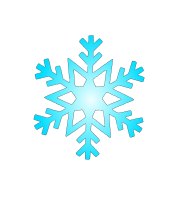 snow flake 5