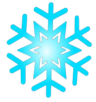 snow flake 8