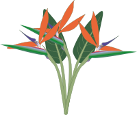 oiseau du paradis