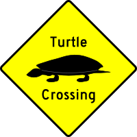 Caution - Turtle Crossing