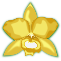 cattleya