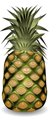 pineapple ananasas