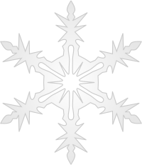 Snowflake 9