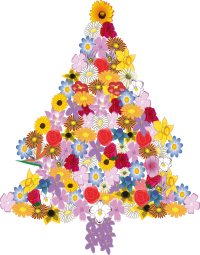 Christmas tree in bloom