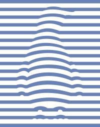 Penguin 3D illusion